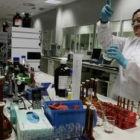 Los nuevos empleos en León Farma se destinarán a personal de alta cualificación.