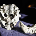 La pieza encontrada hace 20 años en santa Colomba de Somoza.