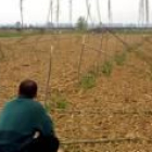 En los últimos meses los forestales han sufrido talas indiscriminadas