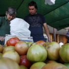 La Feria del Tomate de Mansilla de las Mulas contó con una participación destacada de expositores