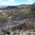 El último fuego en Médulas calcinó 8,5 hectáreas de escobas, castaños y encinas. DL