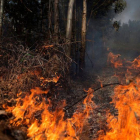 Los incendios forestales suponen una amenaza constante de vulneración de derechos humanos.