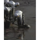 Militares de Guadarrama limpian el fuel en una playa de la costa de Lira