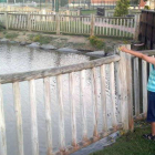 Un niño se acerca a las barandillas de madera que bordean el estanque del parque.