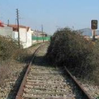 La maleza es una constante en el recorrido de la vieja Vía de la Plata