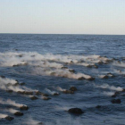 Piedras de lava afloran a la superficie en la costa de El Hierro.