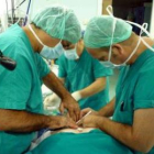 Imagen de un trasplante con células madre realizado a un paciente con cáncer.