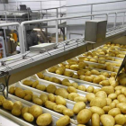 Las actuales instalaciones de Patatas Hijolusa