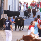 Los novillos que ayer protagonizaron el encierro por las calles de Cuéllar.