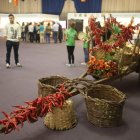 El recinto ferial de Carracedelo acogerá la sexta edición de una feria que este año incluye dos productos tan típicos de la zona como son la manzana Reineta y la pera Conferencia. Este sábado, como actos previos, tendrán lugar dos conferencias sobre técni
