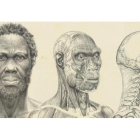 La fisionomía del Homo sapiens surgió en el este de África. NATURE