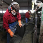 Labradores y cortadores tienen seis meses de coeficiente reductor por cada 10 años trabajados. L. DE LA MATA
