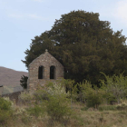 El tejo de San Cristóbal de Valdueza tiene más de mil doscientos años. Abajo, secuencia del video difundido por Medio Rural donde se aprecia el corte en la raiz y el hueco abierto para introducir una cruz de madera con el nombre de Lourdes, oculta para la corteza hueca. «Un ataque salvaje» denuncia el edil Iván Alonso. DL
