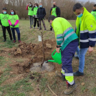 Un momento de la plantación de 16 almendros. DL