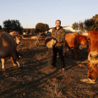 Alejandro Gutiérrez entre sus vacas en Pobladura. FERNANDO OTERO