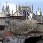 Vista de la Catedral desde la zona de la iglesia de San Pedro, donde se puede comprobar el estado de abandono.
