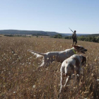 Un cazador son sus perros durante una jornada de caza