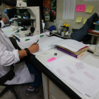 Un laboratorio de investigación de la Universidad de León. NORBERTO