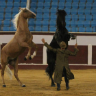 Un momento de la actuación ayer de Santí Serra en la plaza de toros con dos de sus caballos.