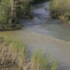 El Bernesga en sus tramos aguas abajo de la plaza de toros necesita con urgencia eliminar maleza