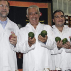 Rajoy, Arenas y Ruiz Gallardón visitaron ayer una cooperativa agrícola malagueña.
