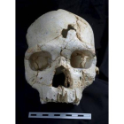 El cráneo, con dos orificios, de la víctima del primer asesinato documentado de la historia, hace 430.000 años en Atapuerca.