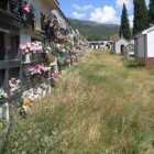 Las hierbas cubren los nichos de la parte baja del cementerio