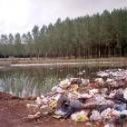 Algunas basuras se acumulan cerca de zonas de agua, como ocurrió en Villarroañe