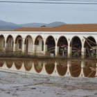 El Ayuntamiento de Calzada de Calatrava podría solicitar la declaración de zona catastrófica.