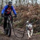 Los leoneses lucharon con los mejores en Asturias. CLUB MUSHING LEÓN