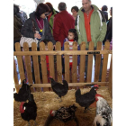 La granja es uno de los mayores atractivos para los niños.