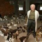 El centro albergará la colección del taxidermista Solís Fernández