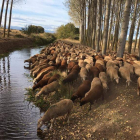 Bucólica estampa de la histórica presa Cerrajera con su caudal ecológico recuperado después de varios días. V. ALEGRE