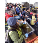 Refugiados reciben comida de voluntarios en Austria.