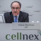 Tobías Martínez, consejero delegado de Cellnex.