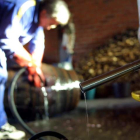 Los residuos del procesado del orujo son muy ricos en compuestos bioactivos. jesús f. salvadores