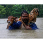 Un hombre carga a hombros con sus animales para que no mueran ahogados por las inundaciones. NARENDRA SHRESTHA