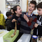 Escolares de cuarto de Primaria del CRA Maestro Emilio Alonso de Lorenzana en un laboratorio de la Facultad de Ciencias Biológicas y Ambientales.