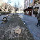 Aspecto que presentaba ayer por la mañana el paseo ponferradino Nicolás de Brujas.