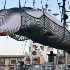 Captura de una ballena con fines científicos en Japón.