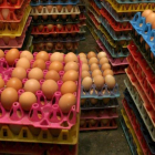 La trazabilidad de los casos condujo a tres granjas de productores españoles. BAGUS INDAHONO