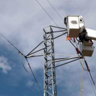 Adecuación de una torre de electricidad en la comarca de la Noguera para frenar la mortalidad de aves.