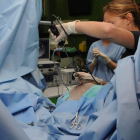 Uno de los quirófanos del hospital veterinario durante una artroscopia a un caballo.