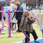 Personas mayores hacen ejercicio en uno de los parques de León. NORBERTO