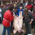 Mucho público se reunió en el momento de la matanza del gocho