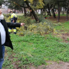 Jesús López en una imagen del área canina del Temple facilitada por su Concejalía. DL