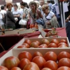 La Feria del Tomate de Mansilla abrirá sus puertas mañana a las 11.00 horas