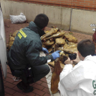 guardia civil