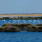 Una imagen del Parque Natural de Doñana, Patrimonio de la Humanidad.