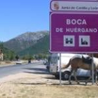 Boca de Huérgano acoge la segunda feria de caza y naturaleza